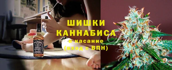 прущие грибы Осинники