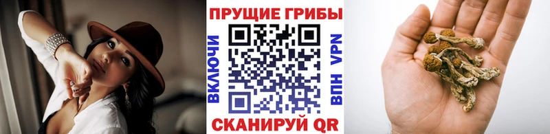 Галлюциногенные грибы мицелий  Усть-Кут 